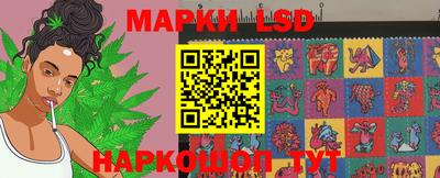 индика Краснокаменск