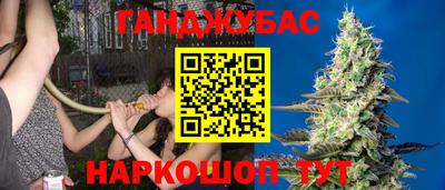 индика Краснокаменск